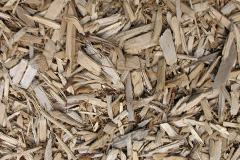 biomass boilers Childerditch